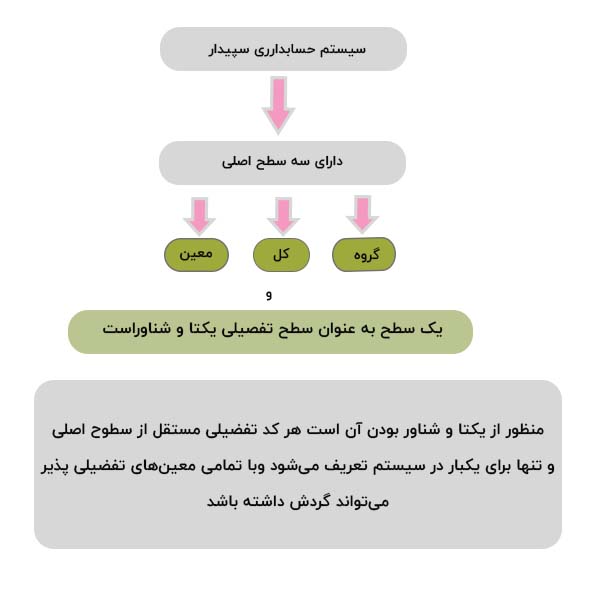کدینگ در نرم افزار سپیدار